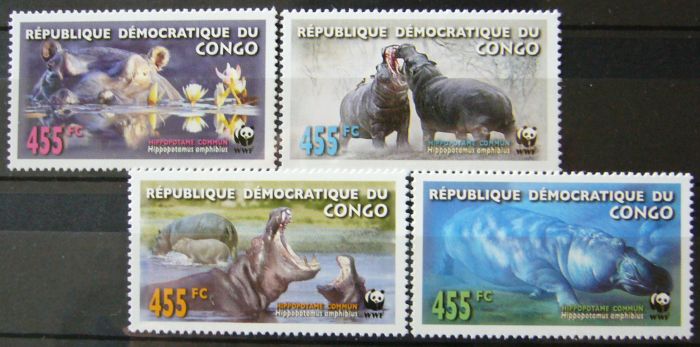 congo-2006-4z.jpg